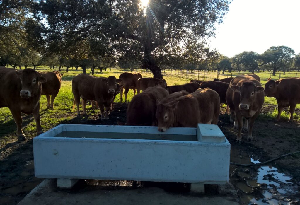Bebederos prefabricados de hormigón en Cáceres (Extremadura)
